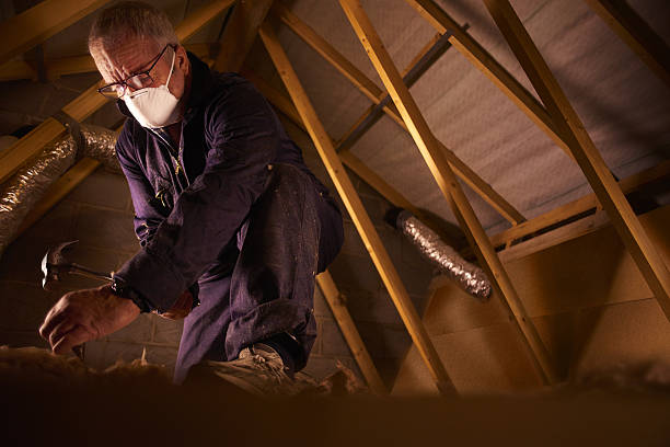Best Attic Insulation Installation  in Roseburg Nth, OR
